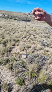 Servicios Públicos denunció sabotaje en Línea de Interconectado que afectó a Puerto Deseado