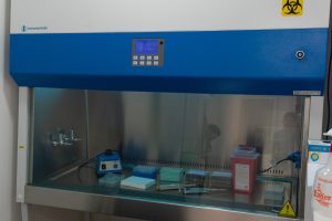 Cómo es el proceso de análisis de las muestras en el Laboratorio Rio Gallegos