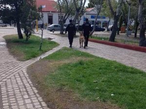 La División Canes trabaja para proteger el patrimonio de Río Gallegos