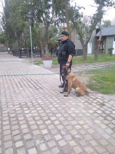 La División Canes trabaja para proteger el patrimonio de Río Gallegos