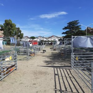 El Gobierno acompañó una nueva edición de la Exposición y Feria Ganadera de Puerto Deseado