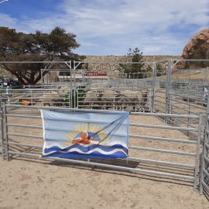 El Gobierno acompañó una nueva edición de la Exposición y Feria Ganadera de Puerto Deseado