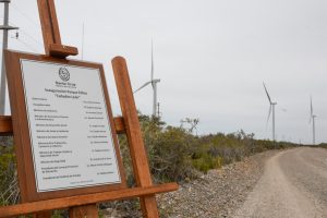 Leonett: “Hoy se trabaja para que en un futuro las energías limpias puedan superar a las no renovables”
