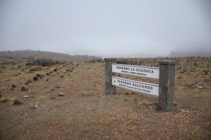 Turismo en Santa Cruz: invitan a recorrer el Parque Provincial Cueva de las Manos