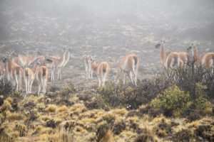 Avanzan las obras del nuevo Planetario en Santa Cruz