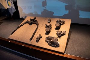 El megaraptor hallado en Santa Cruz abre las puertas a datos de la última época de los dinosaurios