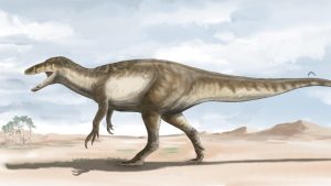 El megaraptor hallado en Santa Cruz abre las puertas a datos de la última época de los dinosaurios